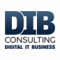 DIB Consulting